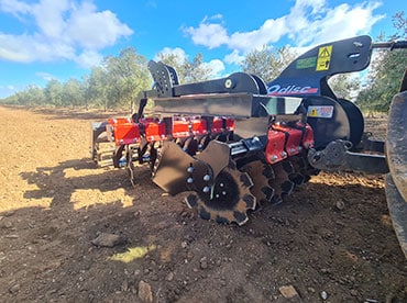 ARÍCOLA SANTA ANGELA